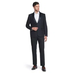 Arrow Navy Blue Regular Fit Checks Two Piece Suit-picture-39