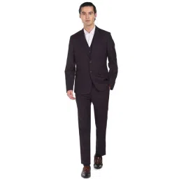 Arrow Purple Regular Fit Checks Three Piece Suit-picture-29