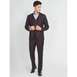 Arrow Purple Regular Fit Checks Three Piece Suits-picture-28