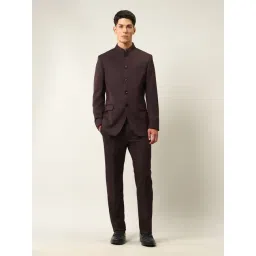 Arrow Purple Regular Fit Self Pattern Two Piece Suit-picture-19