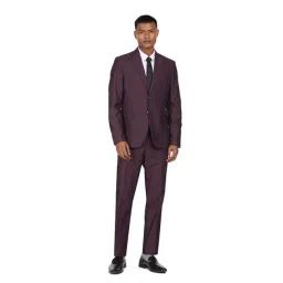 Arrow Purple Regular Fit Two Piece Suit-picture-16