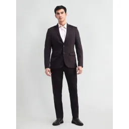 Arrow Purple Regular Fit Two Piece Suit image 1