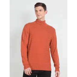Arrow Self Designed Turtle Neck Sweater-picture-28