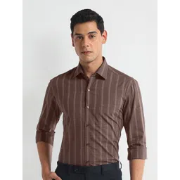 Arrow Spread Collar Slim Fit Opaque Striped Cotton Formal Shirt-picture-24
