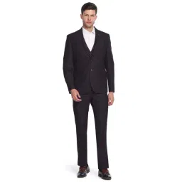 Arrow Wine Regular Fit Self Pattern Three Piece Suit-picture-37