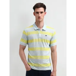 Arrow Sport Men Striped Polo Collar T-shirt-picture-25