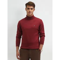 Arrow Sport Men Turtle Neck Long Sleeves Pullover Sweaters-picture-10