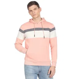 Arrow Sport Pink Cotton Regular Fit Striped Hooded SweatShirt-picture-43