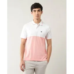 arrow sports Men Colourblock Regular Fit Polo T-Shirt-picture-11