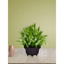 Art Street Green And Brown Artificial Plant-picture-31