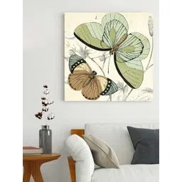 Art Street Green & Brown Butterfly Printed Framed Wall Art-picture-24