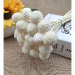 artecasa Billy Ball White Set of 10 Stems Natural Dried Flowers-picture-31