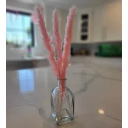 artecasa Mini Pink Set of 10 Natural Dried Flowers-picture-18