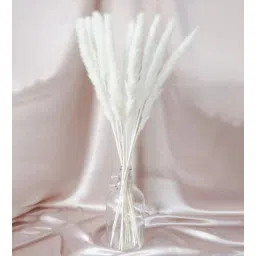 artecasa Mini White Set of 10 Natural Dried Flowers-picture-12