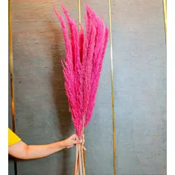 artecasa Pampas Pink Set of 10 Stems Natural Dried Flowers-picture-38