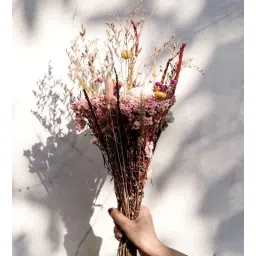 artecasa Serene Multicolour 1 Bunch Natural Dried Flowers-picture-40