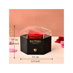 Ascension Black Jewellery Organisers image 5