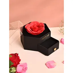 Ascension Black Jewellery Organisers image 3