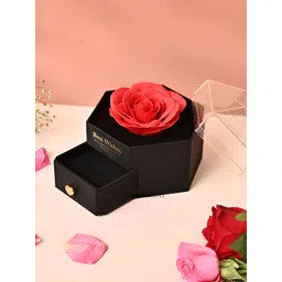 Ascension Black Jewellery Organisers image 1