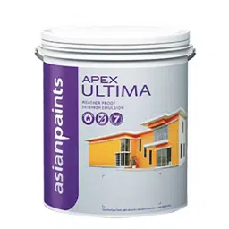Asian Paints Apex Ultima 20 L Brilliant White Exterior Wall Paint, 0068-picture-30