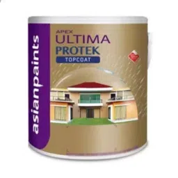 Asian Paints Apex Ultima Protek 20 L White Exterior Wall Paint, 912-picture-41