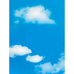 Asian royal Blue & White 3D Printed Self Adhesive Wall Sticker-picture-21