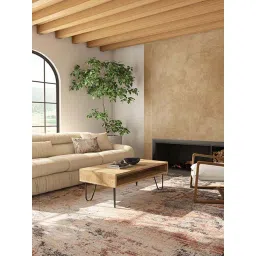 Asterlane Soft Rug For Living Room 4X6 Feet Pink Premium Collection Carpet For Living Room-picture-13