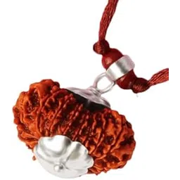 astro cart 18 Mukhi Rudraksha Nepali Brown Bead अट्ठारह मुखी नेपाली रुद्राक्ष Natural Ashtadash Mukhi Rudraksha Oval Shape 18 Face Rudrakshaa Pure Eighteen Face Rudraksh Original Certified-picture-19