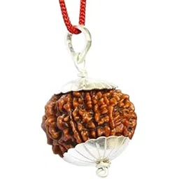 astro cart Natural 18 Mukhi Nepal Rudraksha Prayer Bead अठारह मुखी रुद्राक्ष Brown Color Attahrah Mukhi Rudraksha With Silver Pendant Original Lab Tested For Dhyan-picture-16