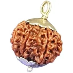 astro cart Nepal 8 Mukhi Rudraksha 19mm 8 Face Rudrakshaa Original Certified Ashta|Aath Mukhi Rudrakshas आठ मुखी रुद्राक्ष ओरिजिनल नेपाल Blessed Ganesh for Men Women-picture-42