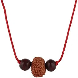 ASTRODIDI 10 Mukhi Rudraksha Ten Face Rudraksh Java Small Size with Red Chandan Beads (Brown)-picture-12
