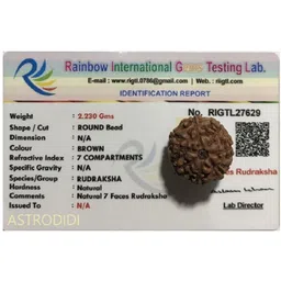 astrodidi 7 Mukhi Java Rudraksha Seven Face Rudraksha Java Small Size Lab Certified Wood Pendant-picture-20