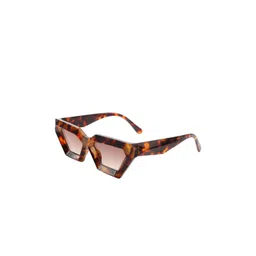 AUGEN Unisex Brown Lens & Brown Browline Sunglasses with-picture-10