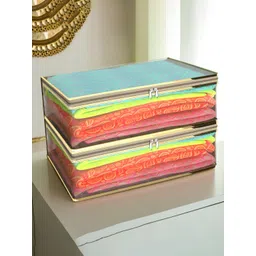 Aura Transparent & Gold Toned 2 Pieces Gown Cover Organisers-picture-36