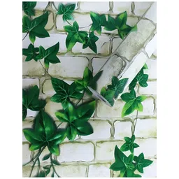 Aura White & Green Printed Self Adhesive Wallpaper-picture-19