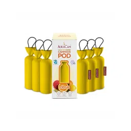 AuraCam 6Pcs Yellow Gold Standard Camphor Pod Cone Citrus Air Fresheners-picture-29