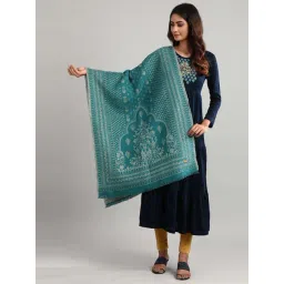 Aurelia Teal Green Woven Pattern Shawl-picture-19