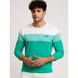 AUTNA Men Colourblocked Round Neck Sweatshirt-picture-27