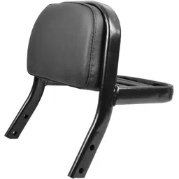 autobrand Passenger Backrest-picture-25