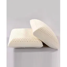 avi Set of 2 Rectangular Orthordic Pillows 16" x 24"-picture-30