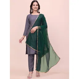 AVNISA ENTERPRISE Dupatta with Sequinned-picture-57