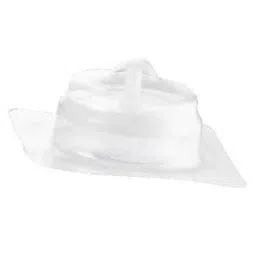 Axiva 33mm Cellulose Acetate Sterile Syringe Filter, SFCA33X (Pack of 50)-picture-40