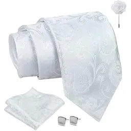 axlon White Pasiley Tie For Men – Formal Ties Set With Pocket Square & Tie Pin Clip For Mens, Silk Neckties Gift Sets For Men’s (AX24_50)-picture-47
