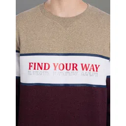 AXMANN Round Neck Colourblocked Sweatshirt image 5