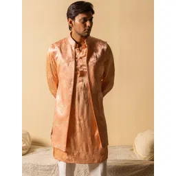 Ayush Jain Embroidered Nehru Jacket-picture-21