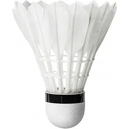 Aywal 6-PCS Shuttle Cocks (White) | Feather Shuttle Combo Pack of 10 shuttles,Outdoor & Indoor Badminton Sports Pack of 1 (6-pcs) (6)-picture-20