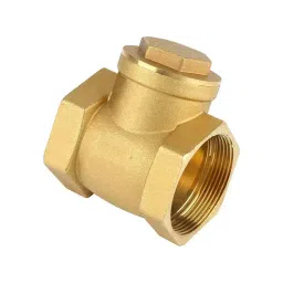 B K JAGAN & CO Size 25 mm Horizontal Check Valve Metal Gold-image-17