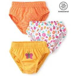 Babyhug 100% Cotton Knit Antibacterial Panties with Polka Dot Floral & Butterfly Print Pack of 3 - Multicolour-picture-37