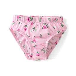 Babyhug 100% Cotton Knit Panties Floral Print Pack of 3 - Multicolour image 4