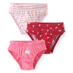 Babyhug 100% Cotton Single Jersey Knit Panties Stripes & Floral Print Pack of 3 - Multicolor-picture-32